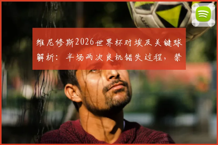 维尼修斯2026世界杯对埃及关键球解析：半场两次良机错失过程，禁区倒地未获点球判罚争议详解