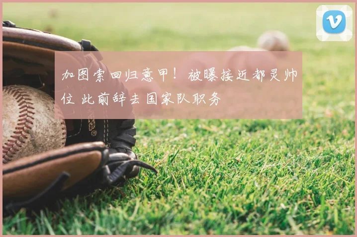 加图索回归意甲!被曝接近都灵帅位 此前辞去国家队职务